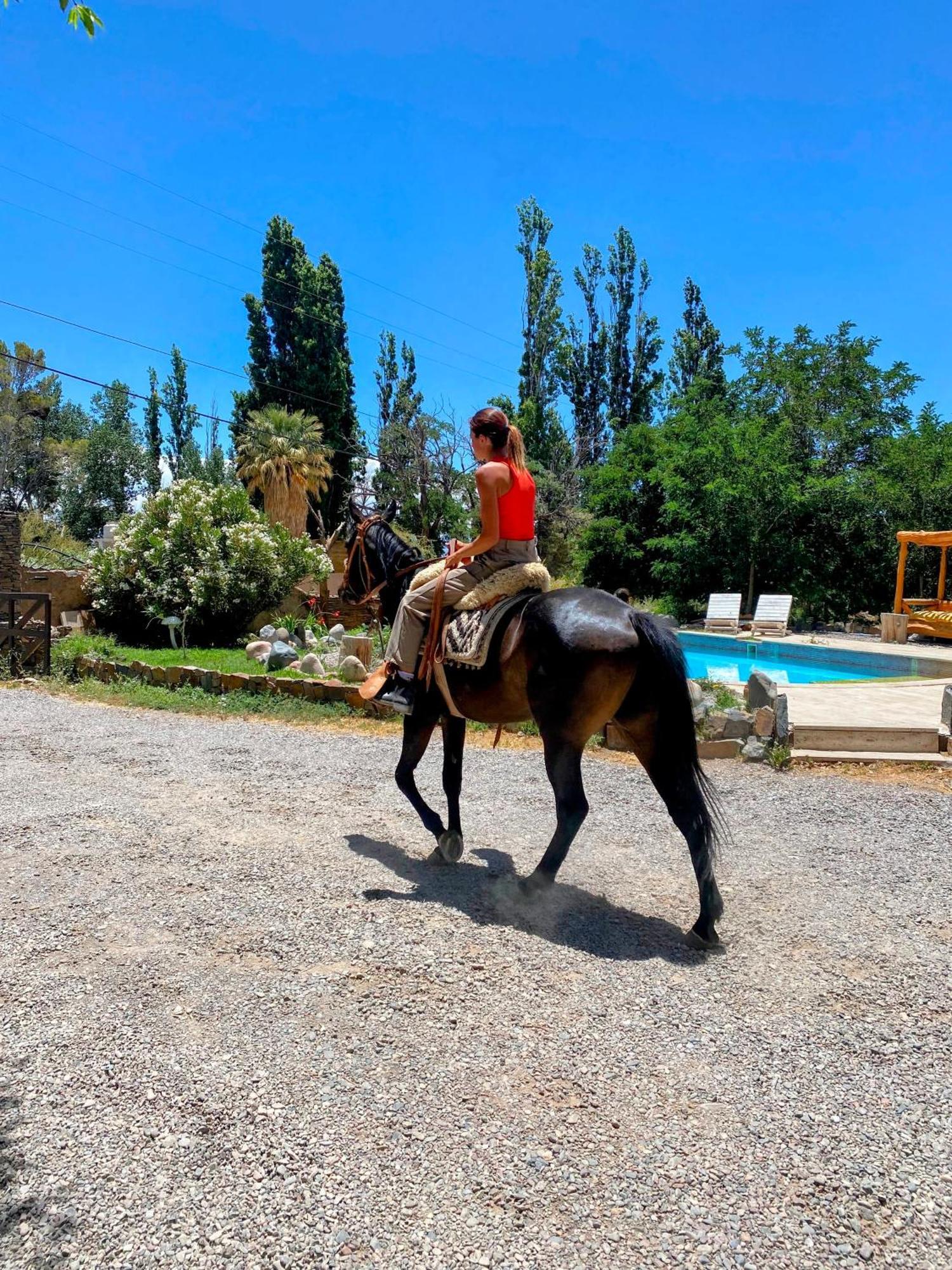 La Comarca Del Jarillal Hotel Las Flores  Екстериор снимка